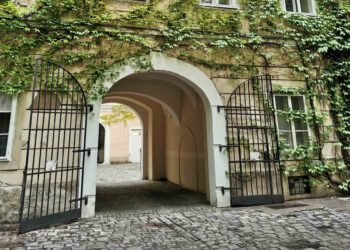 Innenhof bodengeb Selbstklimmer - Foto:© Grünstattgrau