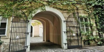 Innenhof bodengeb Selbstklimmer - Foto:© Grünstattgrau