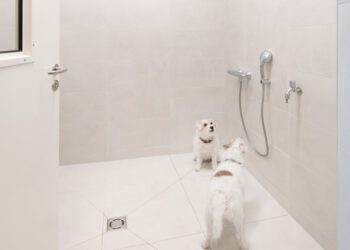 BELandMain Residences - Foto:© Romana Fuernkranz2C4A9363