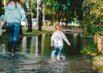Wienerberger will gegen Klimawandel ankämpfen
