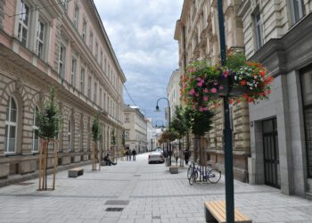 IWS fordert Investitionsanreize für Revitalisierungen