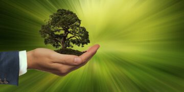 Starke Zuwächse für nachhaltige Fonds