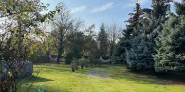 Alvarea vermittelt an Avoris