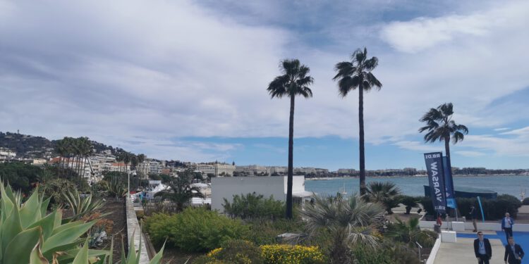 Das Wetter in Cannes ist heiter, aber bewölkt. Der raue Wind, der der Immobilienwirtschaft aktuell entgegenbläst, ist deutlich erkennbar. Foto: cjs