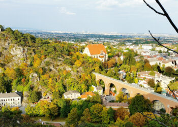 Rustler: Erstes Eigenprojekt in Mödling