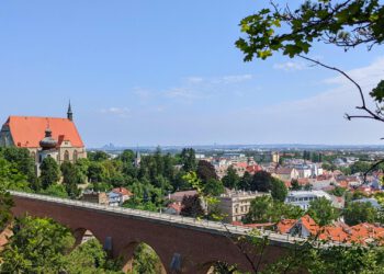 NÖ: Nachfragerückgang sorgt für Preisdämpfung