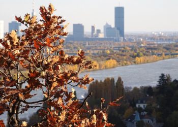 Flächenknappheit bei Büros und Logistik