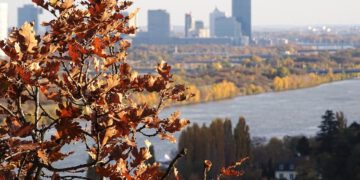 Flächenknappheit bei Büros und Logistik