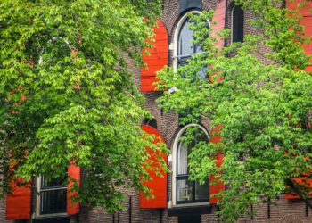 Mit Weitblick investieren