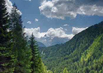 Italien: Erfolgreicher Pachtvertragsabschluss