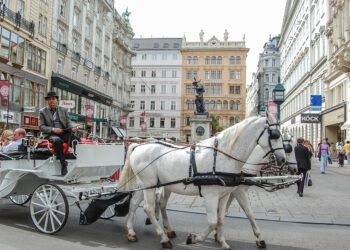 Manege frei für Equity-Investoren