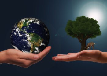 ÖGNI und CLAW: Kooperation für klimafreundliches Rechtssystem