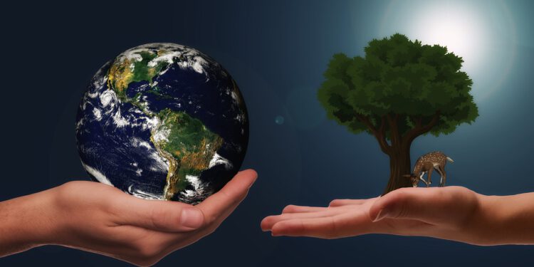 ÖGNI und CLAW wollen den Klimaschutz im Rechtssystem verankert wissen. Foto: pixabay.com