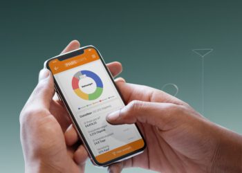 IMMOunited launcht Statistikbereich