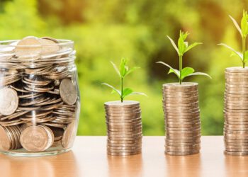 Rekord-Umsatz bei Adomo