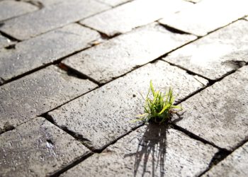 KPMG: Österreich hat bei ESG noch Aufholbedarf