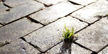 KPMG: Österreich hat bei ESG noch Aufholbedarf