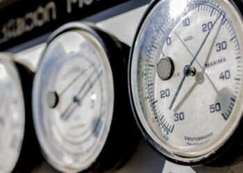 Umfrage: Zuversicht trotz gedämpfter Geschäftsentwicklung