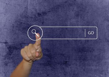 So suchen Österreicher Immobilien